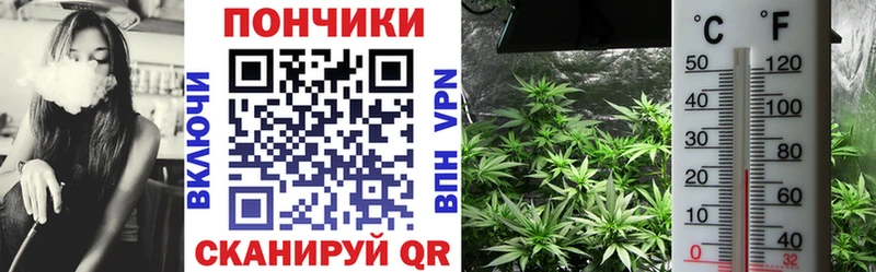 Купить где  Урюпинск  Бошки Шишки OG Kush 